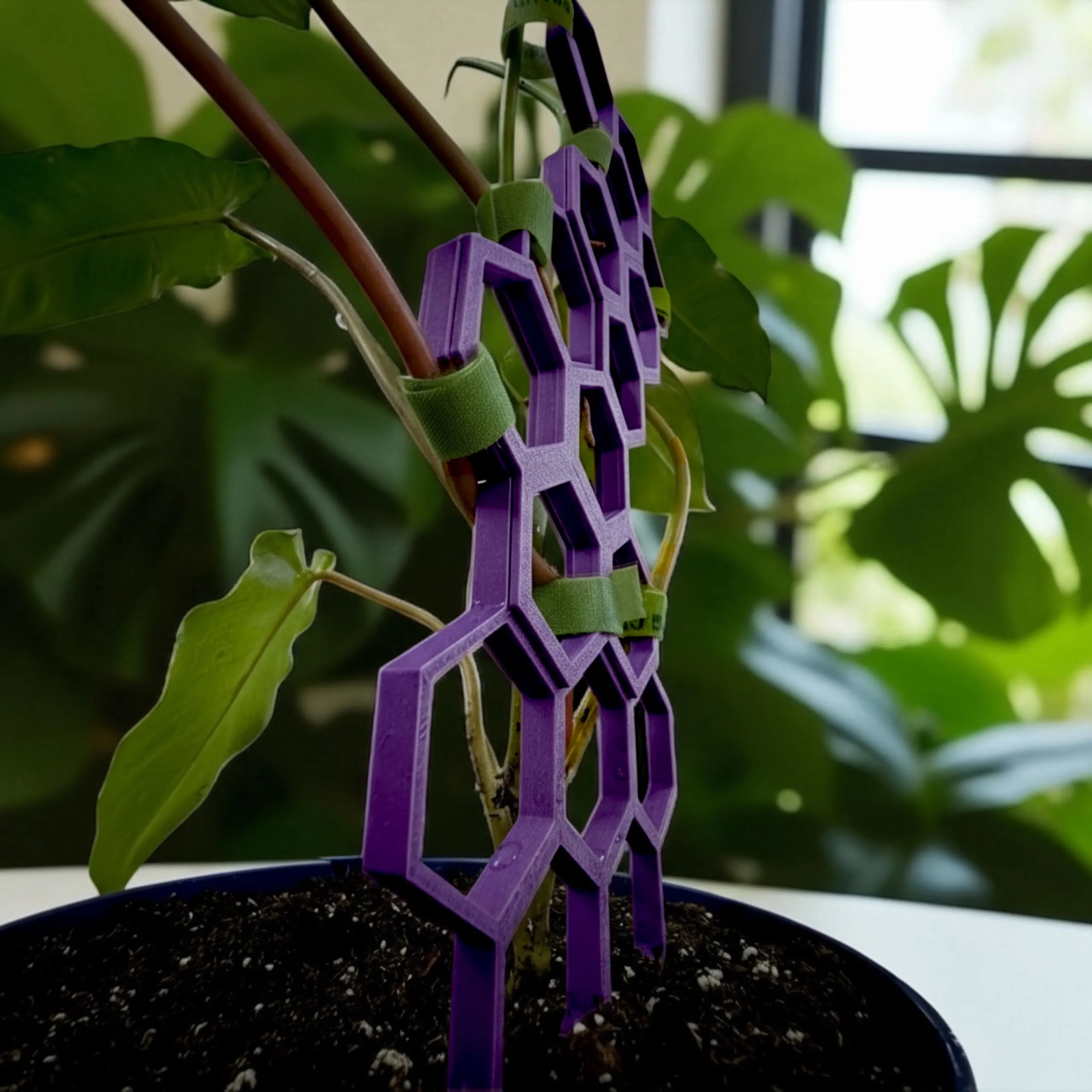 GrowGrid Plant Trellis - Starter Pack — photo 2