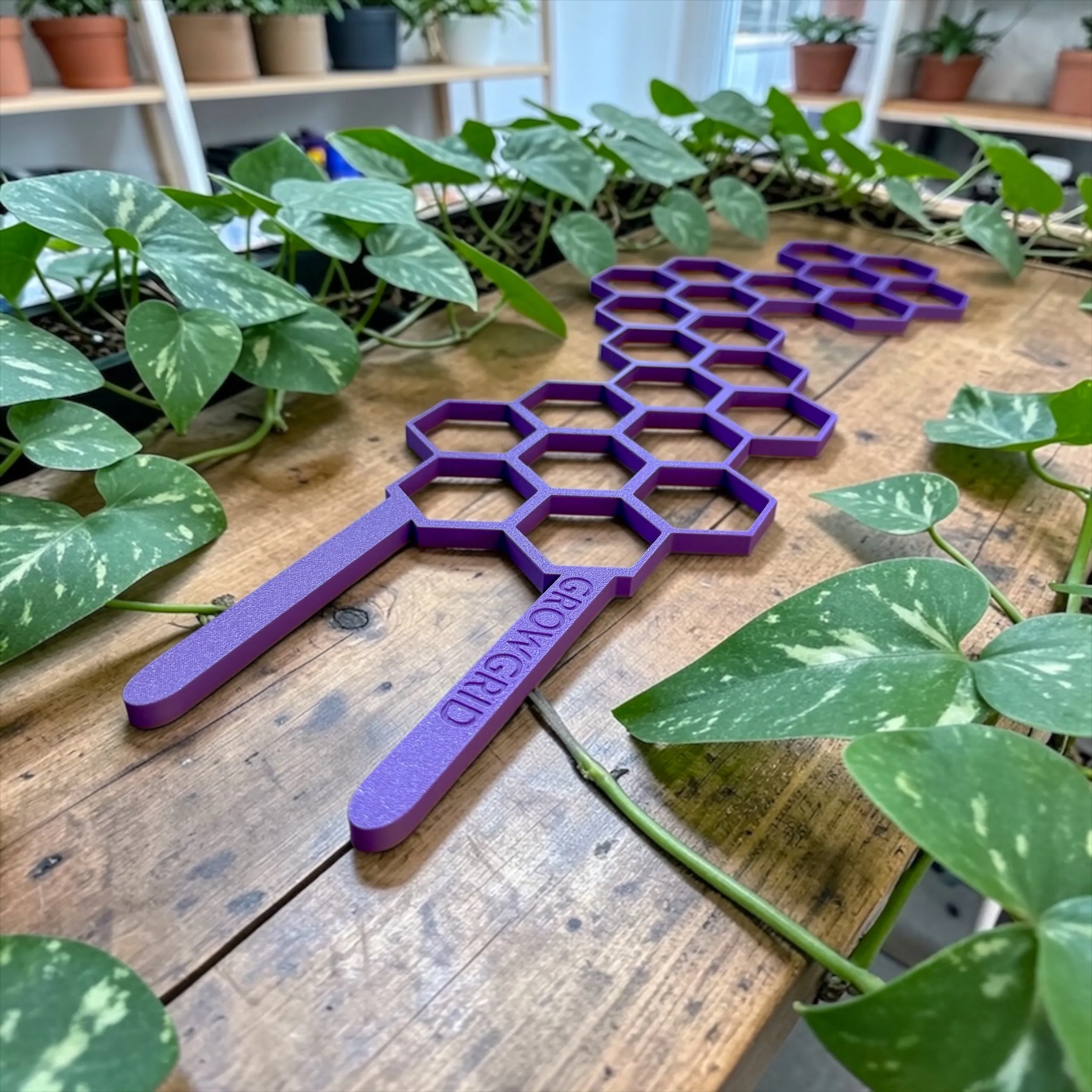 GrowGrid Plant Trellis - Starter Pack — photo 3