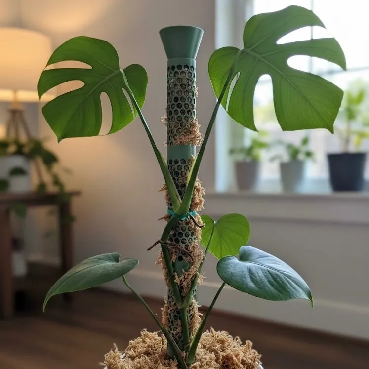 GrowGrid Moss Pole - Starter Pack — photo 5