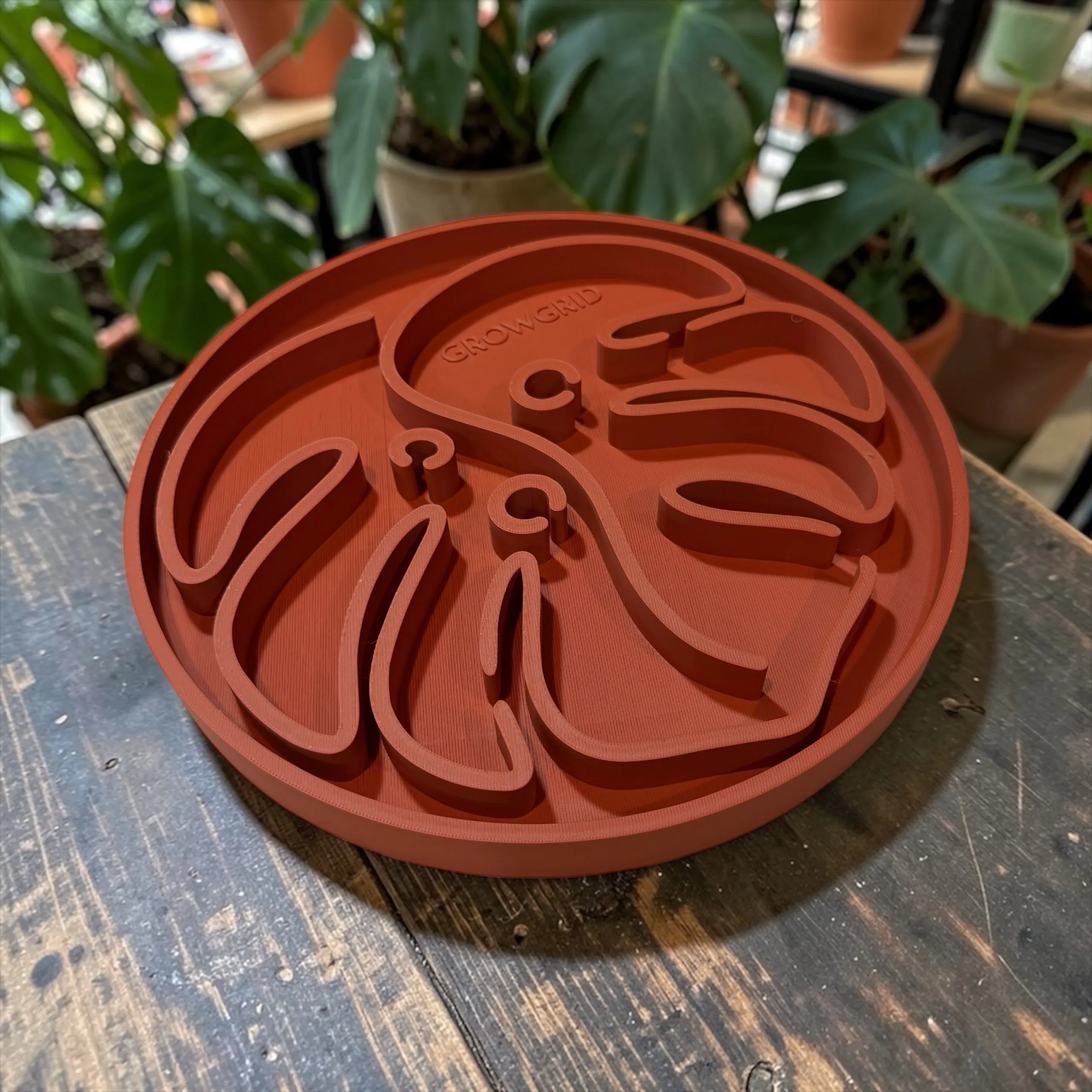 GrowGrid Drip Tray - Monstera & Pothos — photo 9