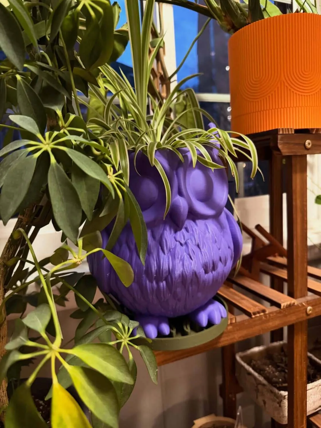 GrowGrid owl planter with a spider plant on a plant stand