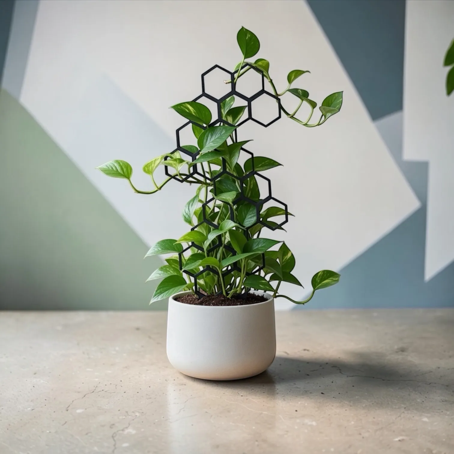 GrowGrid trellis supporting a pothos plant